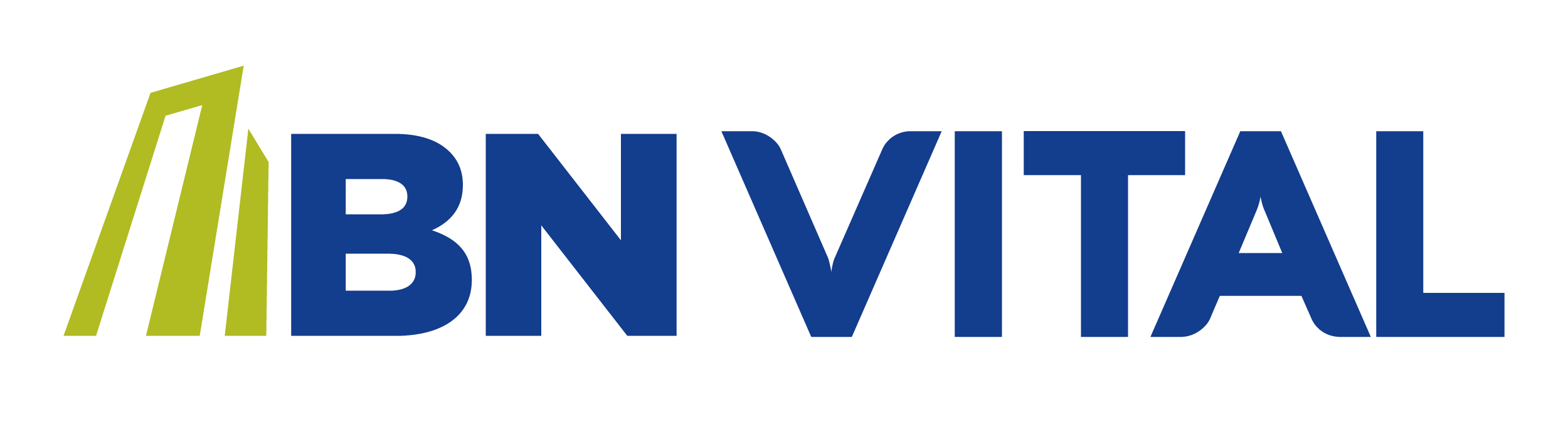 Logo BN Vital